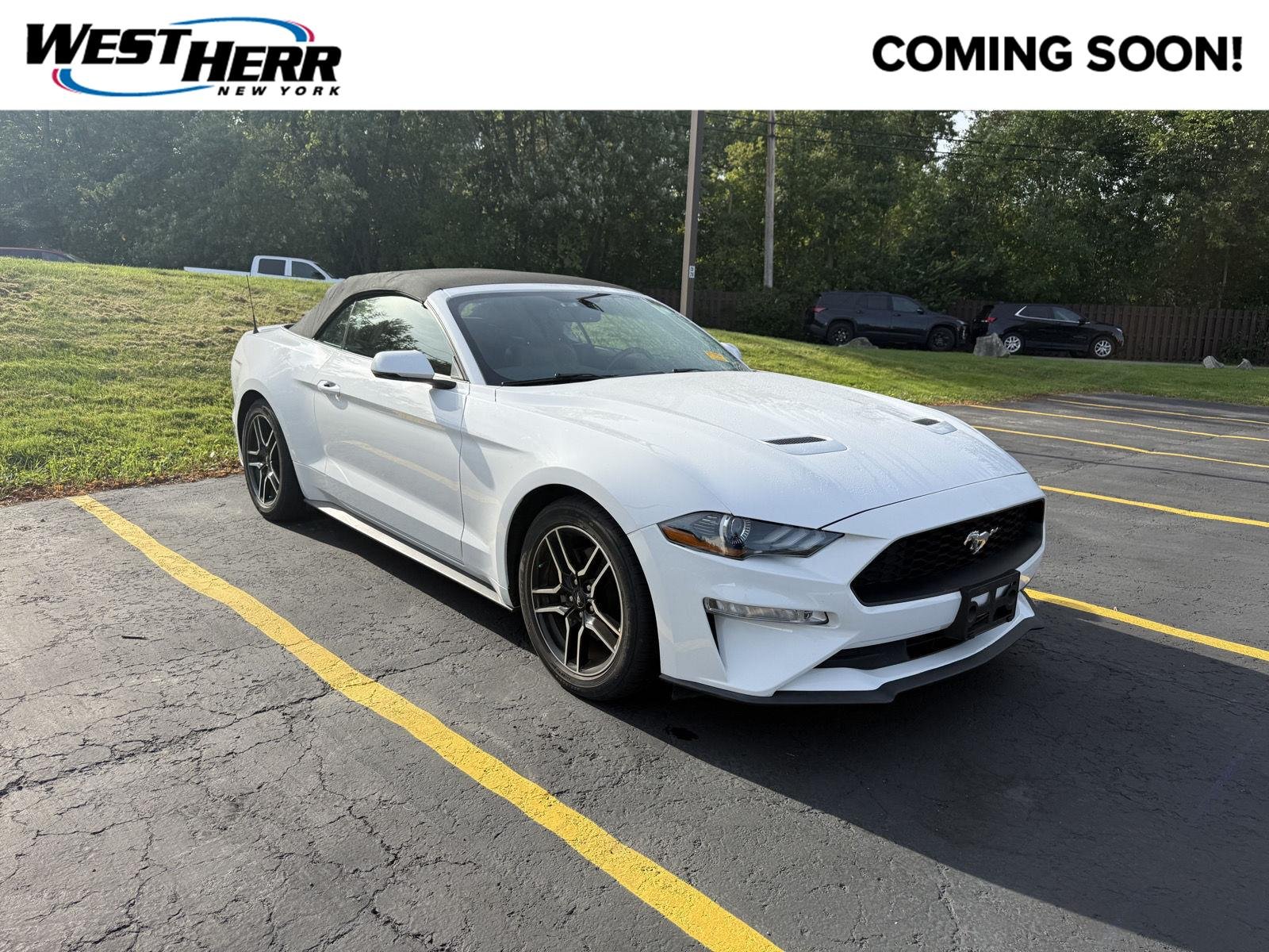 Used 2019 Oxford White Ford EcoBoost Premium image 1
