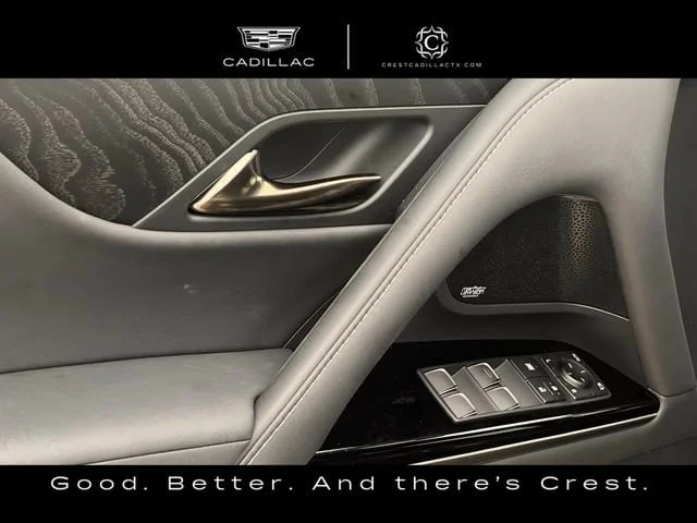Used 2025 Gray Lexus Luxury image 19