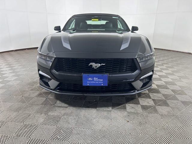Used 2025 Ford Mustang EcoBoost Premium with VIN 1FAGP8UH0S5119820 for sale in Shakopee, Minnesota