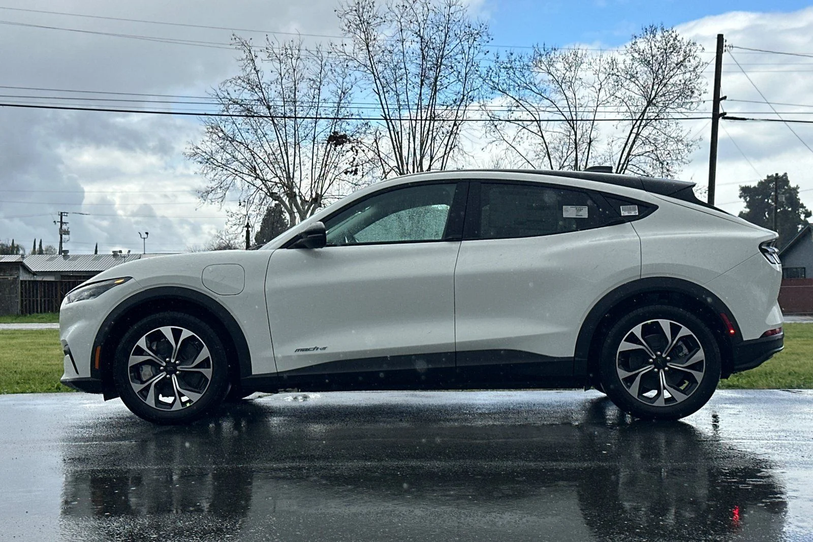 New 2026 Star White Metallic Tri-coat Ford Select image 8