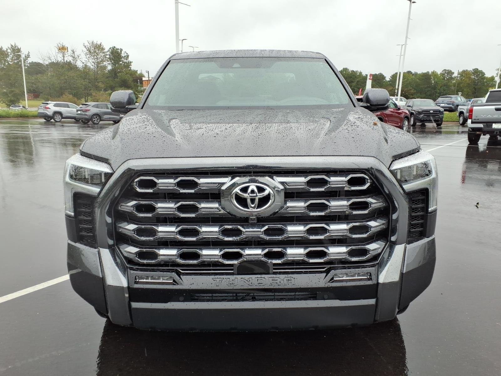 New 2026 Magnetic Gray Metallic Toyota Platinum image 11