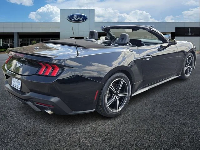 Used 2024 Black Ford EcoBoost Premium image 5