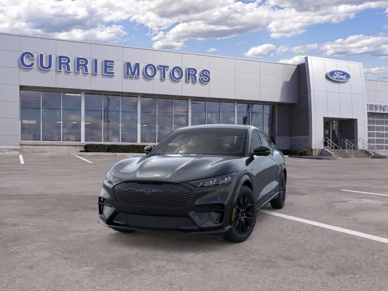 New 2026 Shadow Black Ford Premium image 2