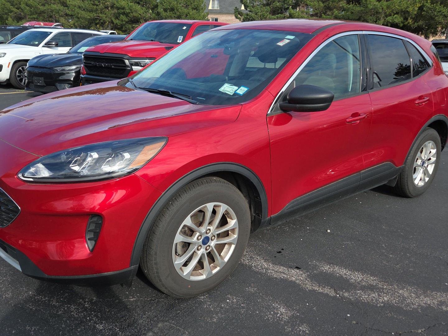 Used 2022 Rapid Red Metallic Tinted Clearcoat Ford SE image 5