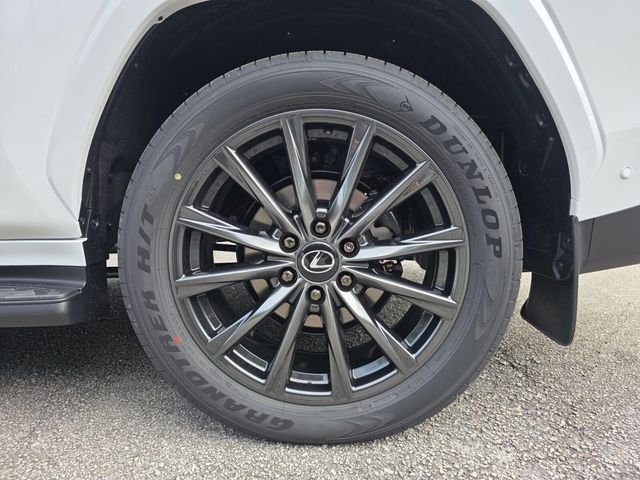 2025 Lexus LX 700h F-Sport - Photo 16