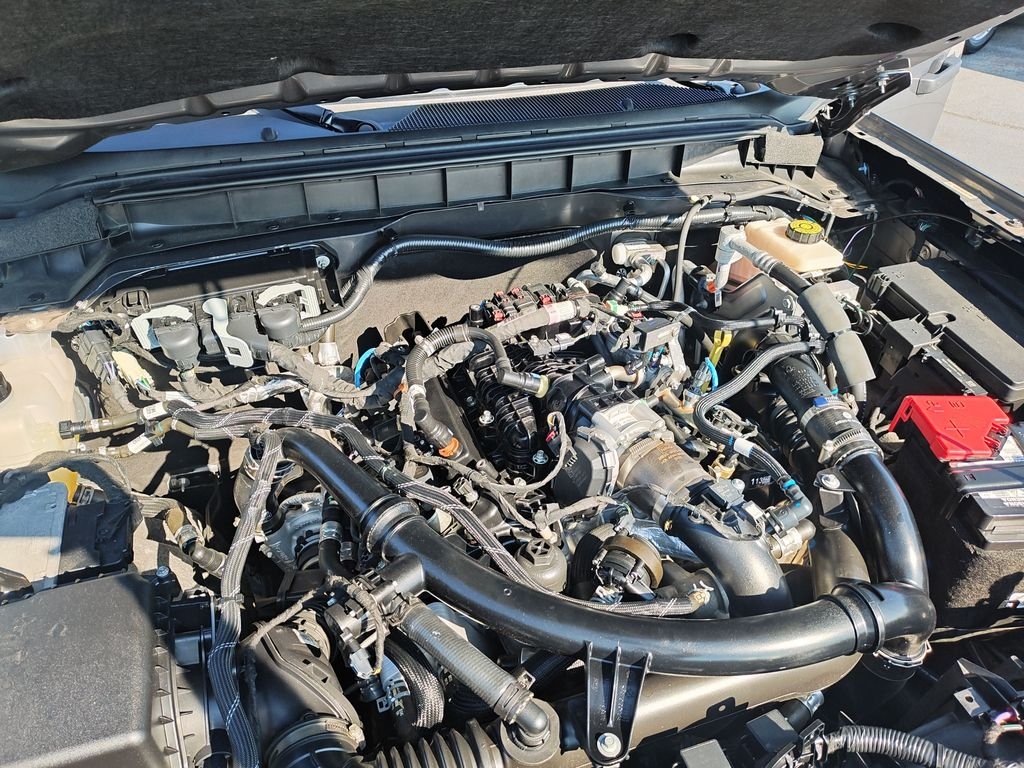Used 2023 Gray Ford Big Bend image 25