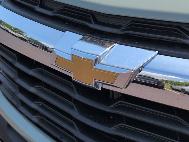 New 2026 Cacti Green Chevrolet LS image 31