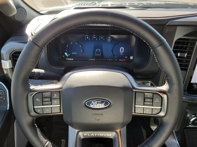 New 2026 Gray Metallic Ford Platinum image 31