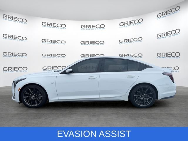 Used 2025 White Cadillac Sport image 4