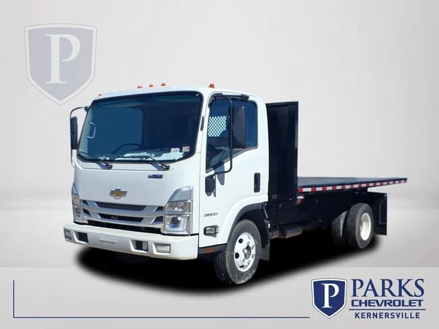 2024 Chevrolet Low Cab Forward 3500 HG 1WT