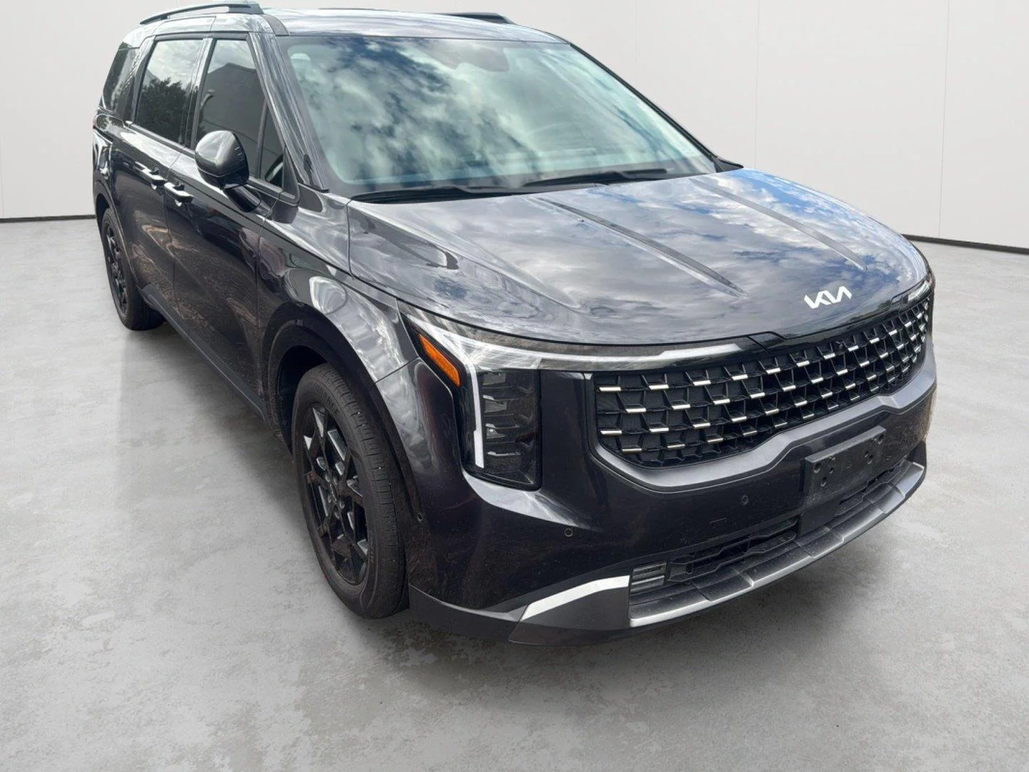 Used 2025 Panthera Metal Kia SX image 3