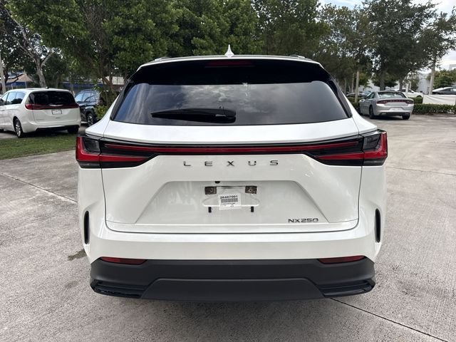 2023 Lexus NX 250 - Photo 24