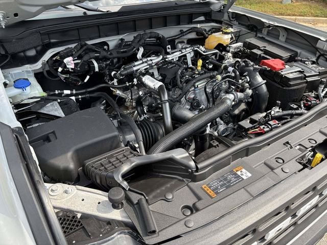 New 2026 Avalanche Gray Ford TCcustoms image 29