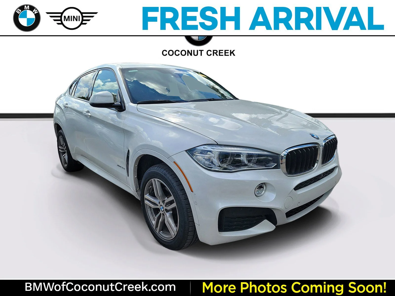 2019 BMW X6 xDrive35i's photo