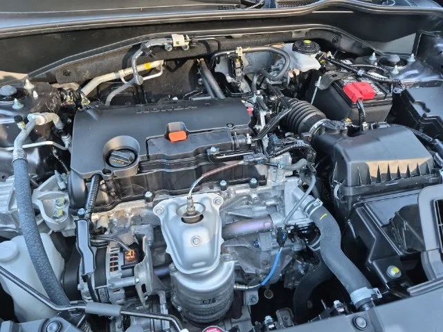 Used 2025 Gray Honda LX image 25