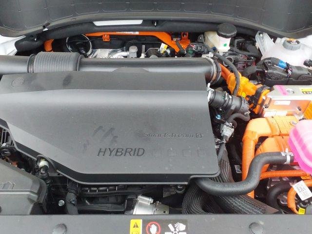 New 2026 White Pearl Hyundai Calligraphy image 17