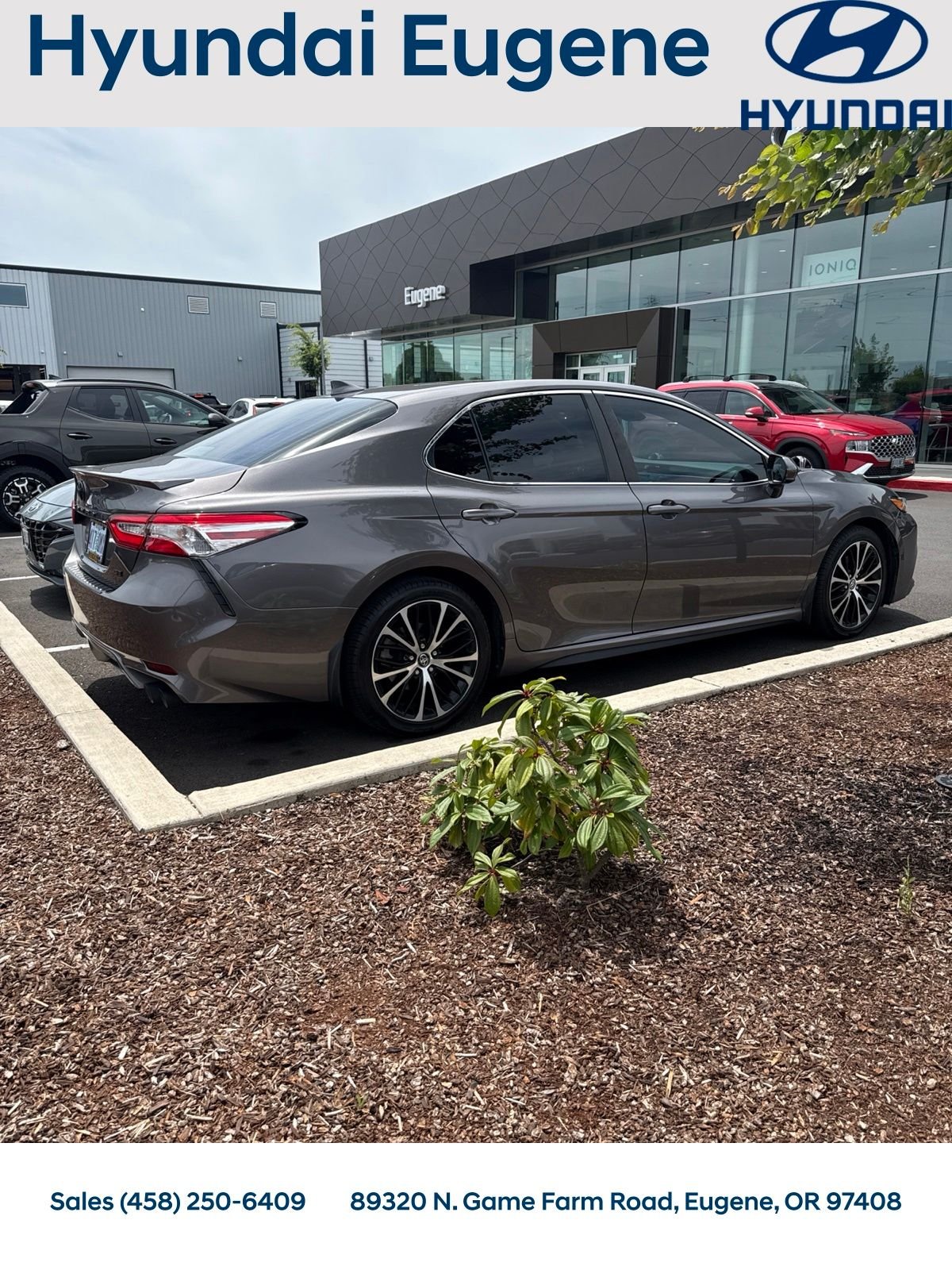 Used 2020 Gray Toyota SE image 4