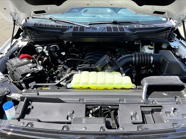 New 2026 Oxford White Ford XLT image 12