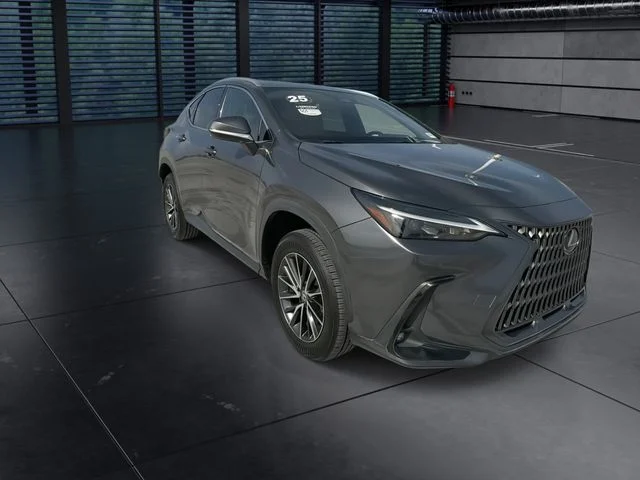 Used 2025 Gray Lexus 250 Premium image 2