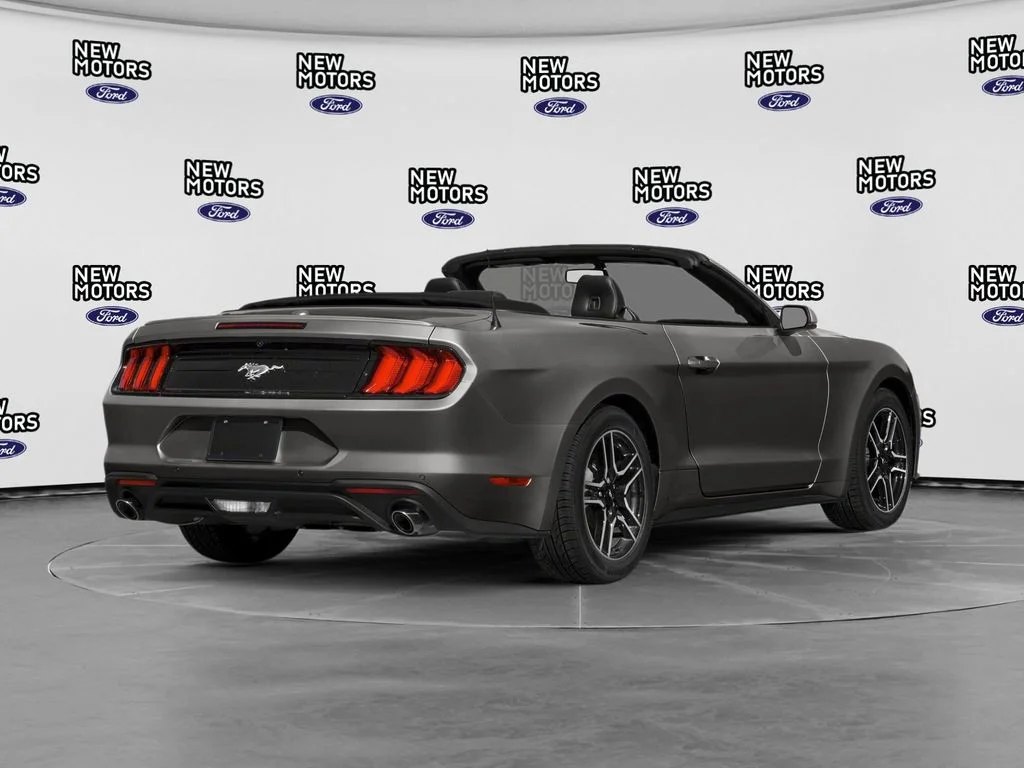 Used 2019 Magnetic Ford EcoBoost Premium image 2