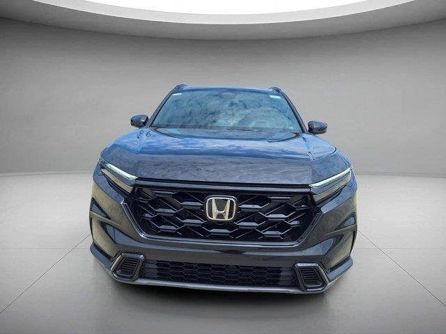 New 2026 Crystal Black Pearl Honda Sport image 8