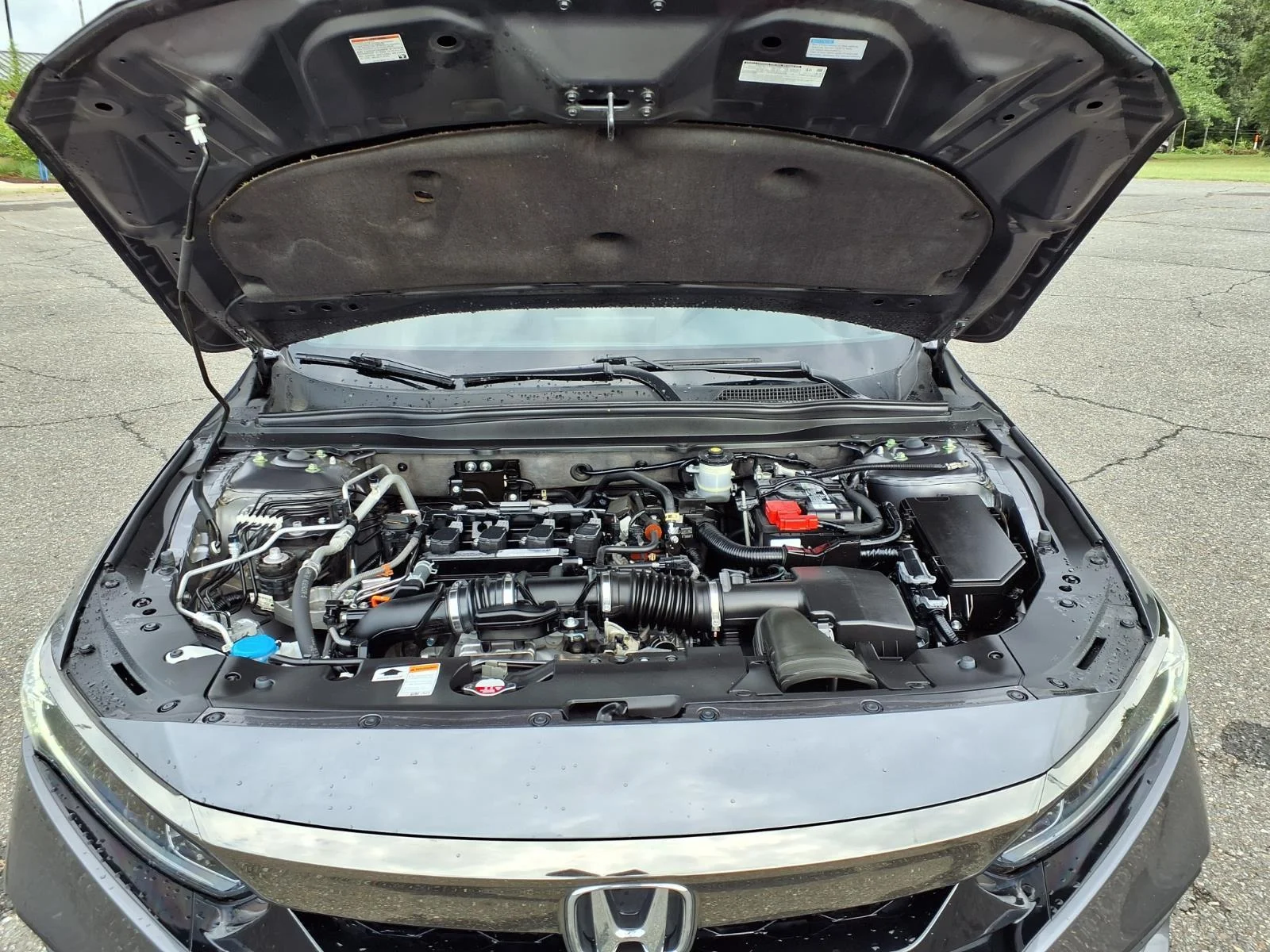 Used 2019 Modern Steel Metallic Honda Sport 1.5T image 31