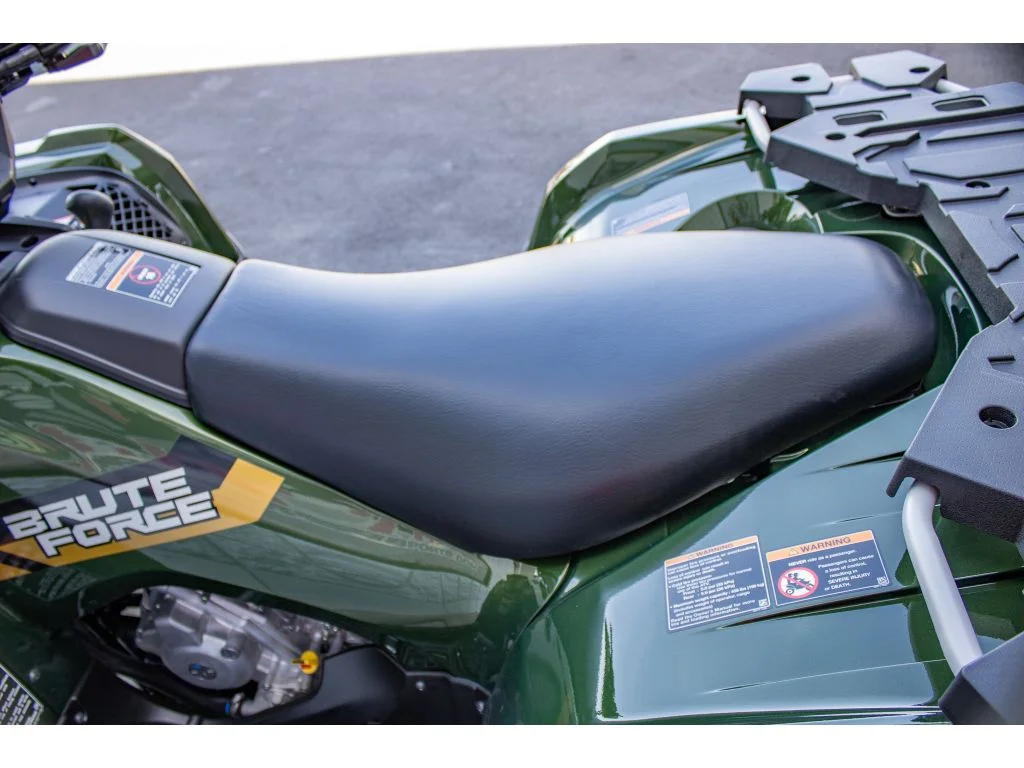 New 2026 Metallic Gold Sparkle Deep Green Kawasaki  image 19