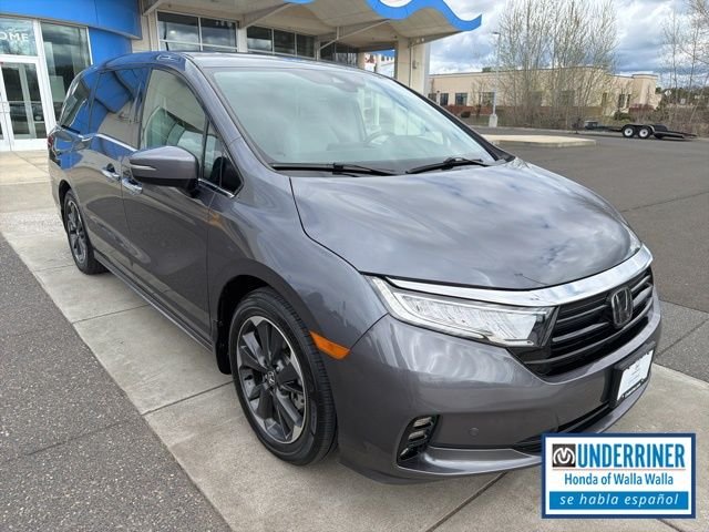 2024 Honda Odyssey Elite's photo