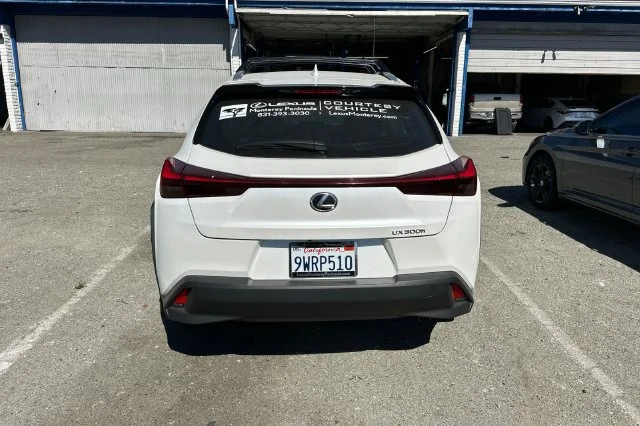 Used 2025 White Lexus 300h image 6