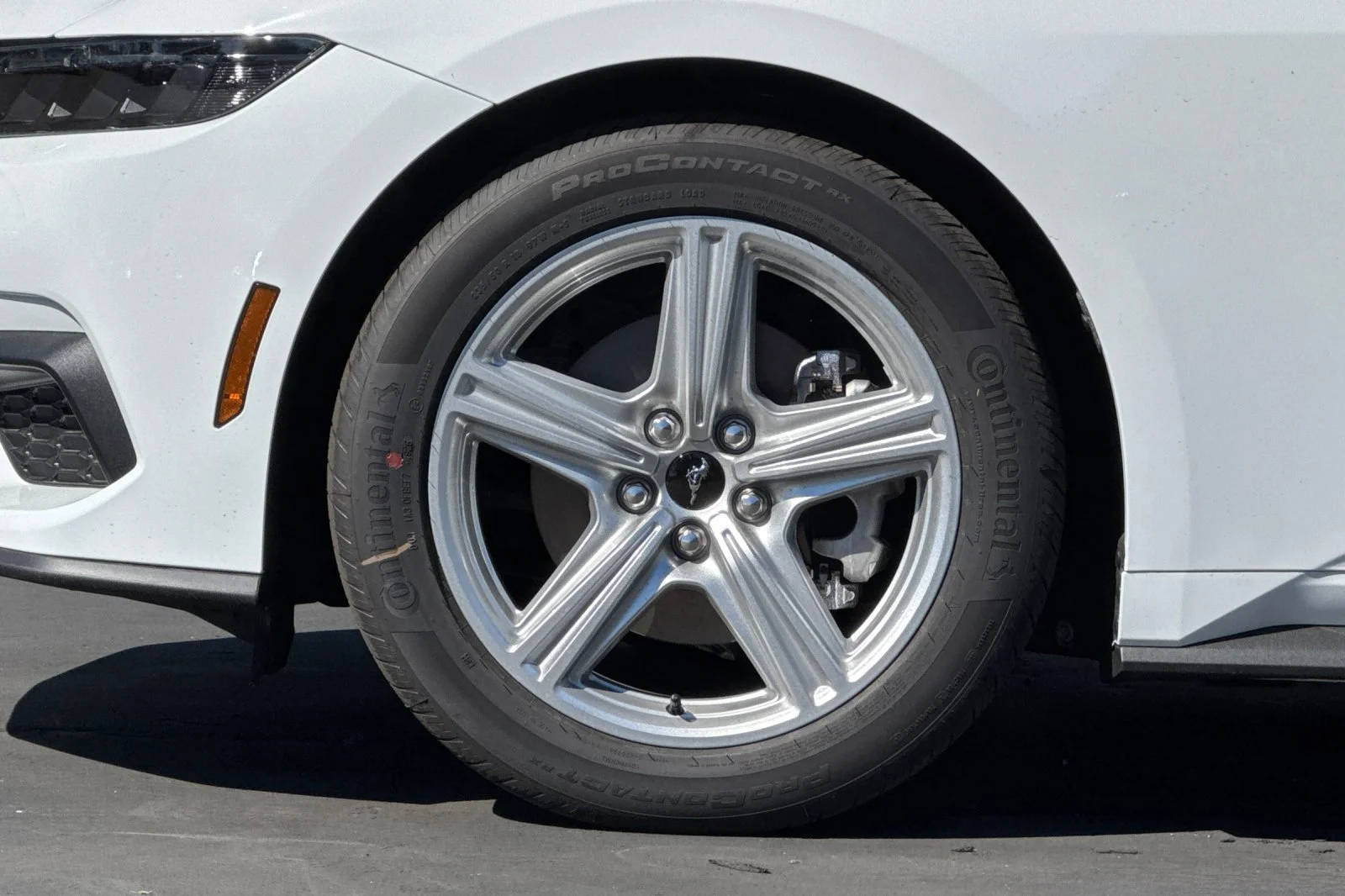 New 2026 Oxford White Ford EcoBoost® Fastback image 29