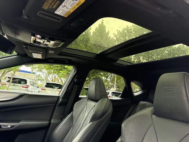 2024 Lexus NX 350 - Photo 22