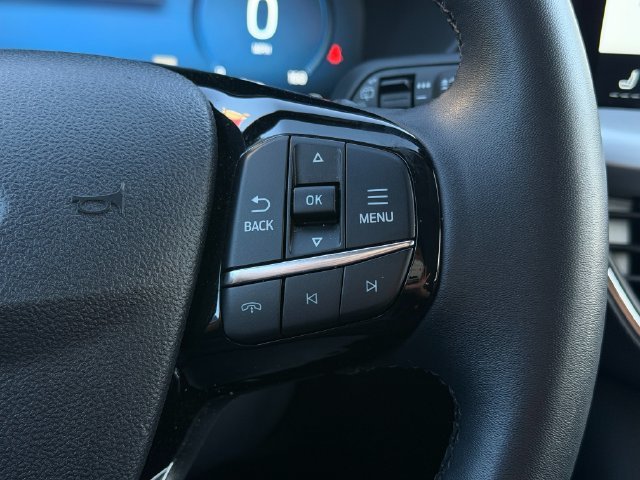 Used 2025 Silver Ford Platinum image 18