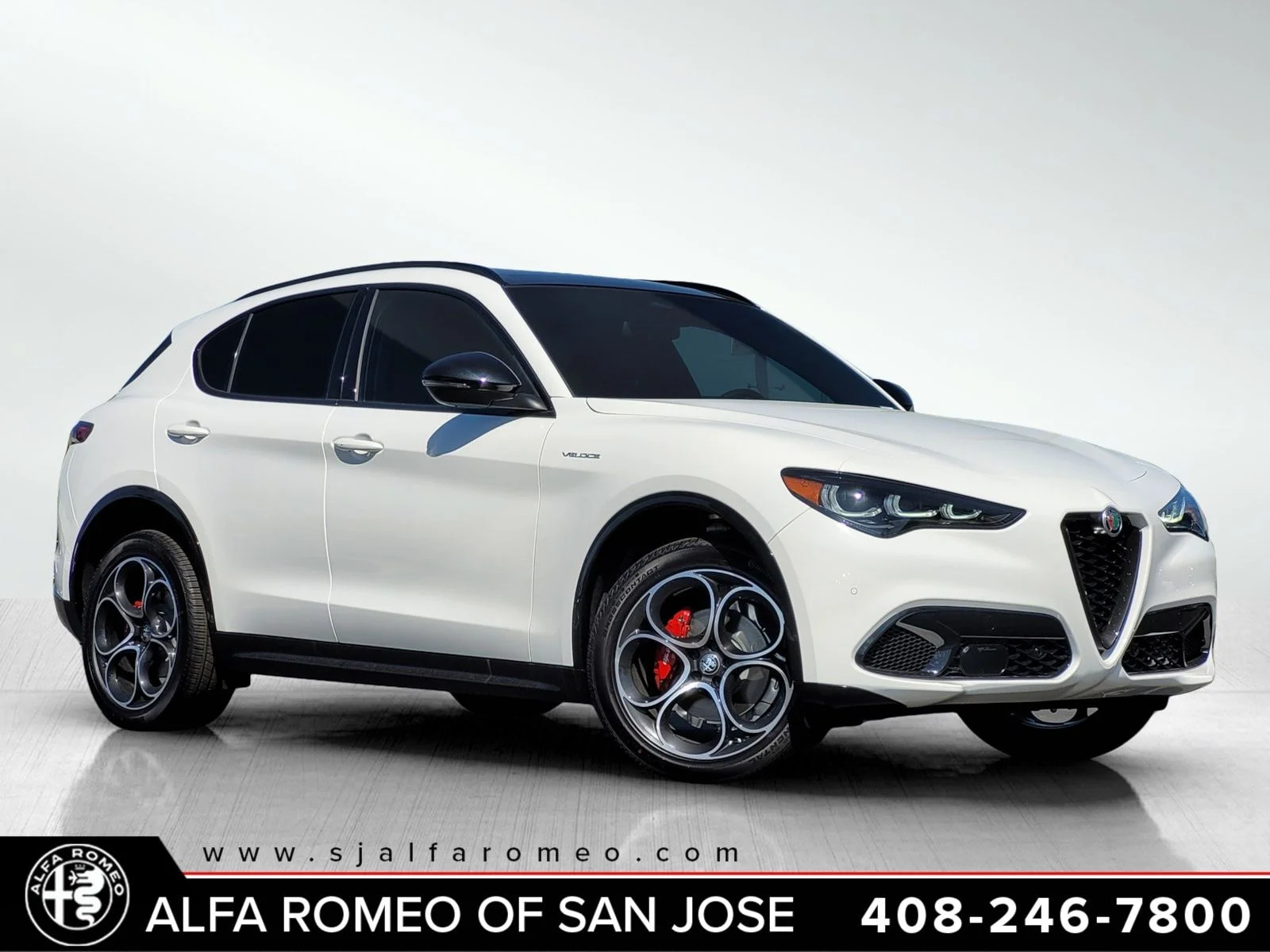2025 Alfa Romeo Stelvio Stelvio AWD's photo