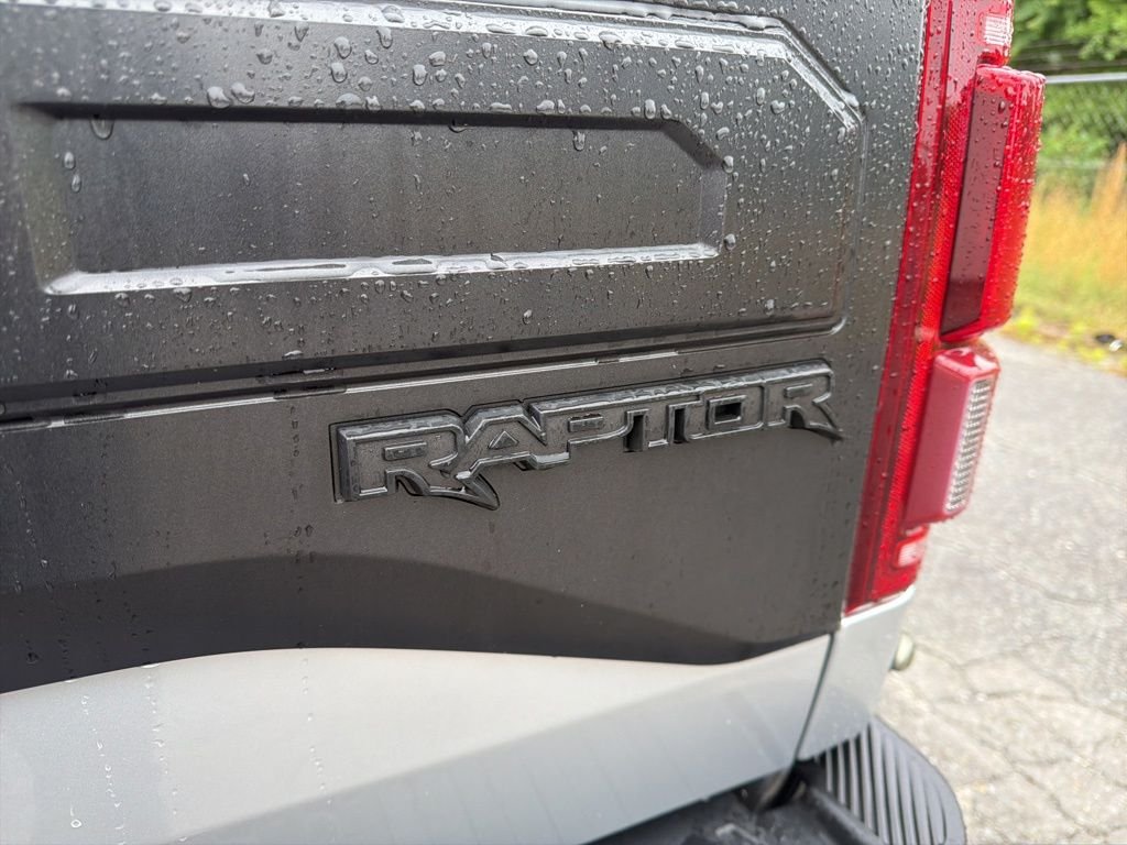2017 Ford F-150 Raptor - Photo 17