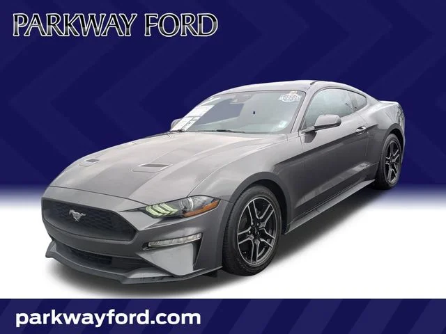 Used 2022 Gray Ford EcoBoost image 1