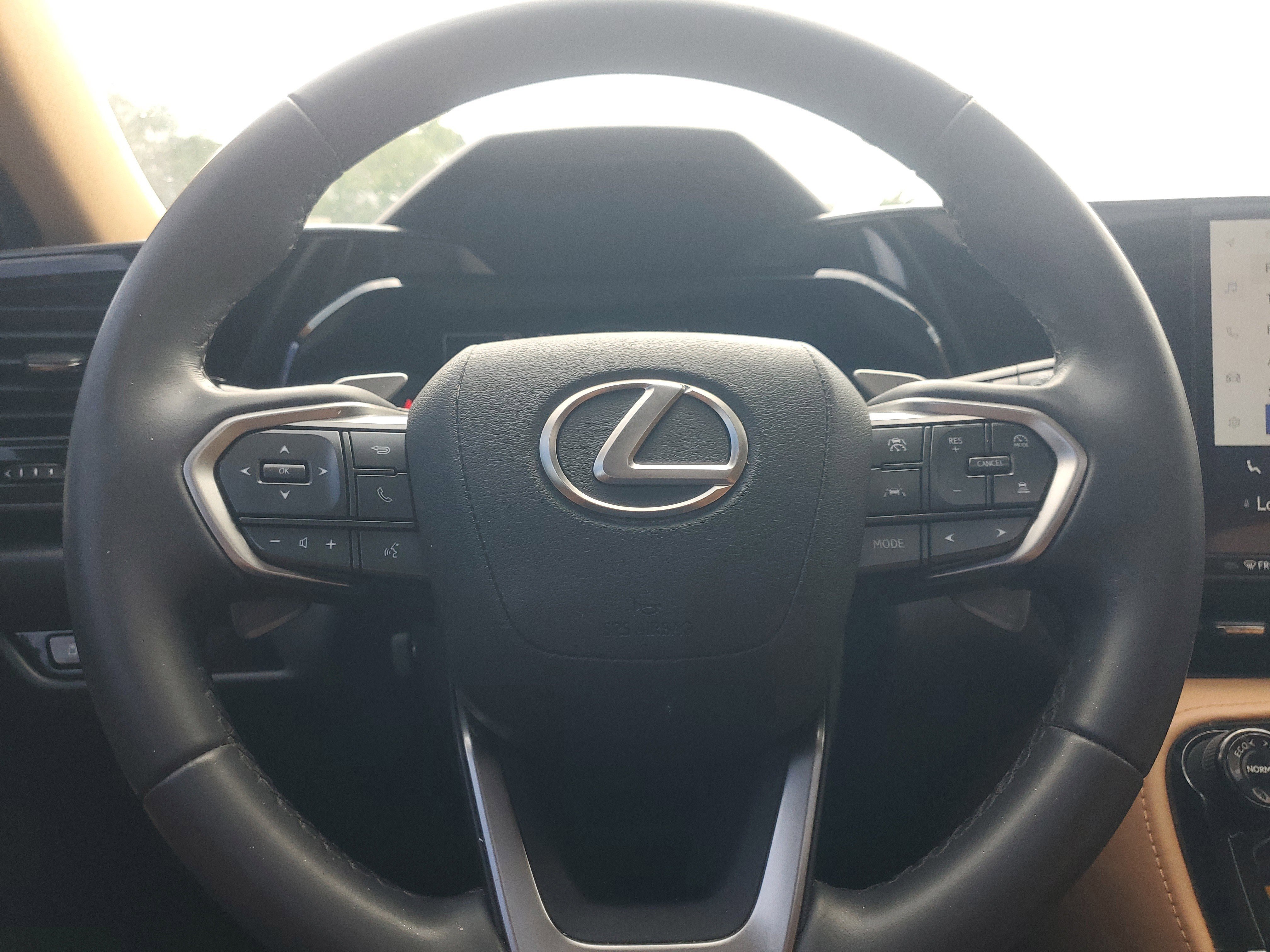 Used 2023 Caviar Lexus NX 250 Premium image 25