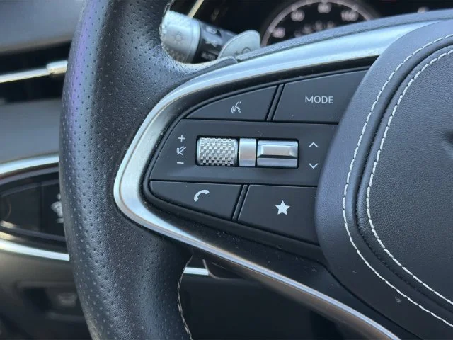 Used 2023 Gray Genesis Advanced image 30