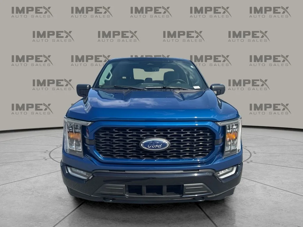 Used 2023 Blue Ford XLT image 5