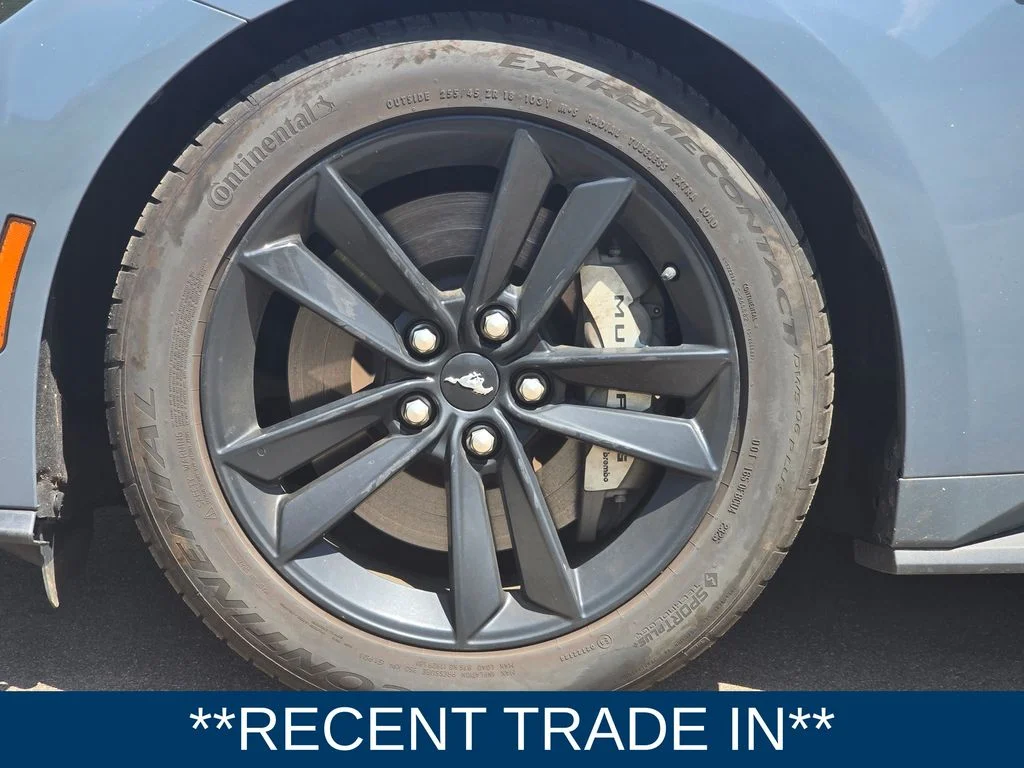 Used 2024 Blue Ford GT image 8