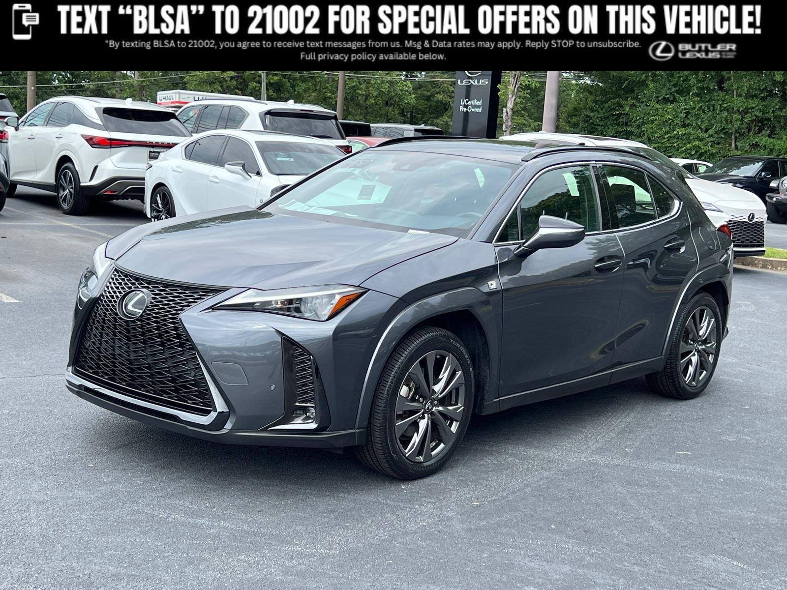 2023 Lexus UX 300h 250h F Sport Handling's photo