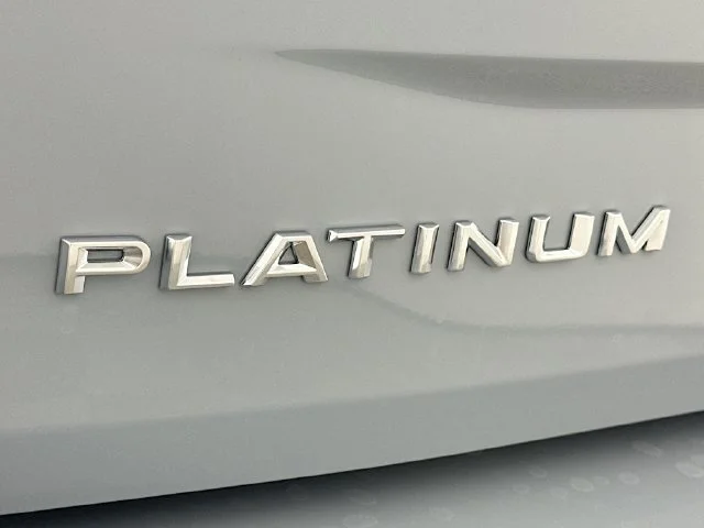 New 2026 Gray Ford Platinum image 28