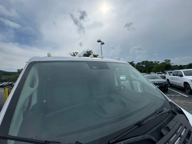 Used 2023 White Ram Low Roof image 4