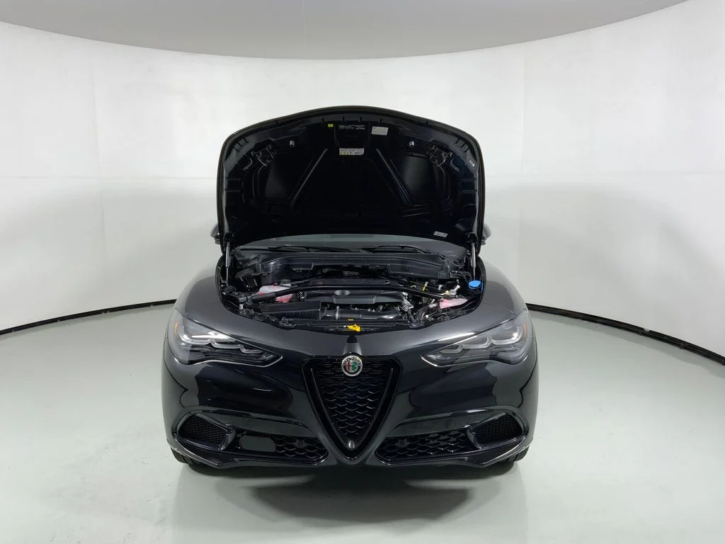 2026 Alfa Romeo Stelvio Base - Photo 9