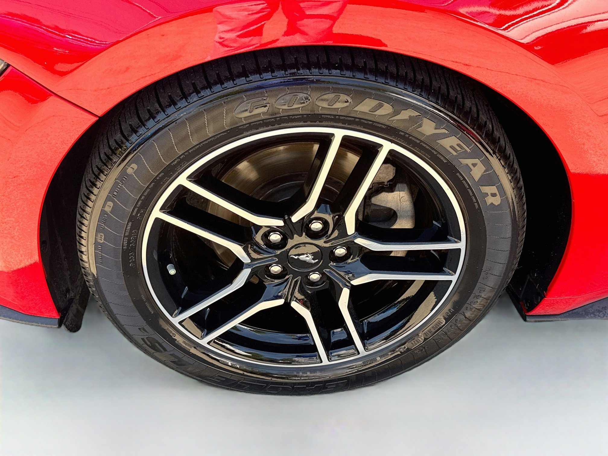 Used 2021 Race Red Ford EcoBoost Premium image 29