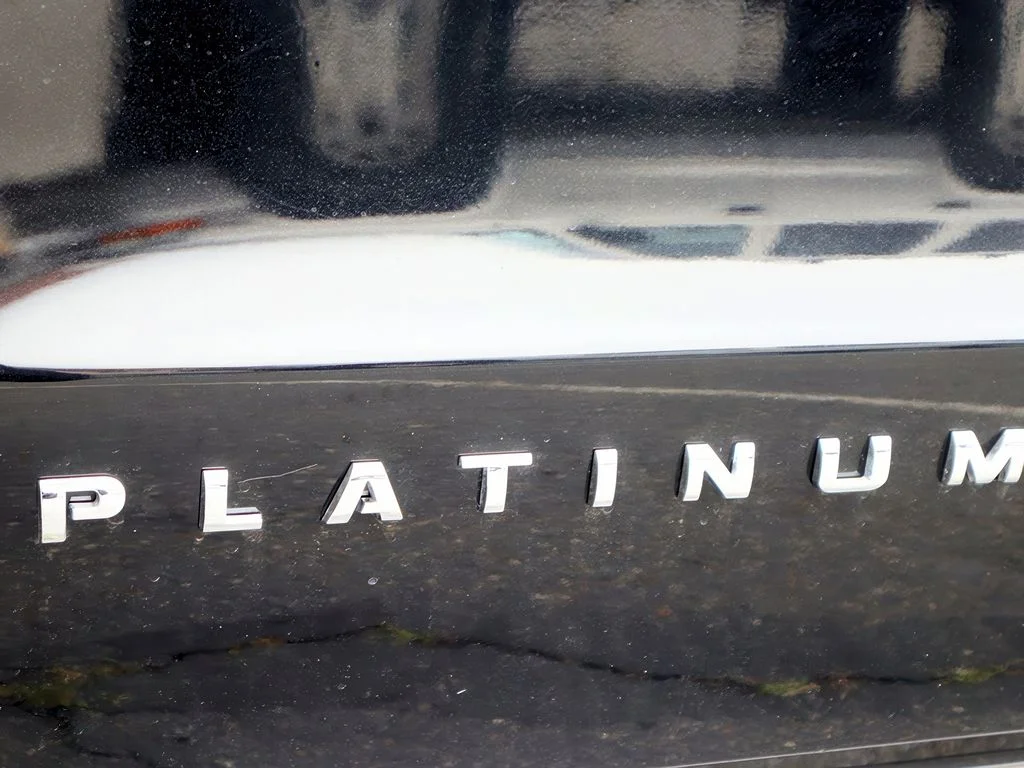 2020 Ford Expedition Platinum - Photo 33
