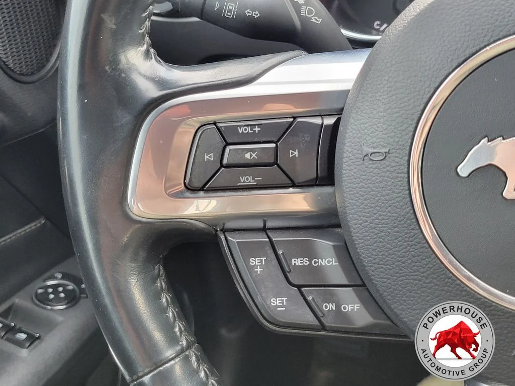 Used 2023 Silver Ford EcoBoost Premium image 24