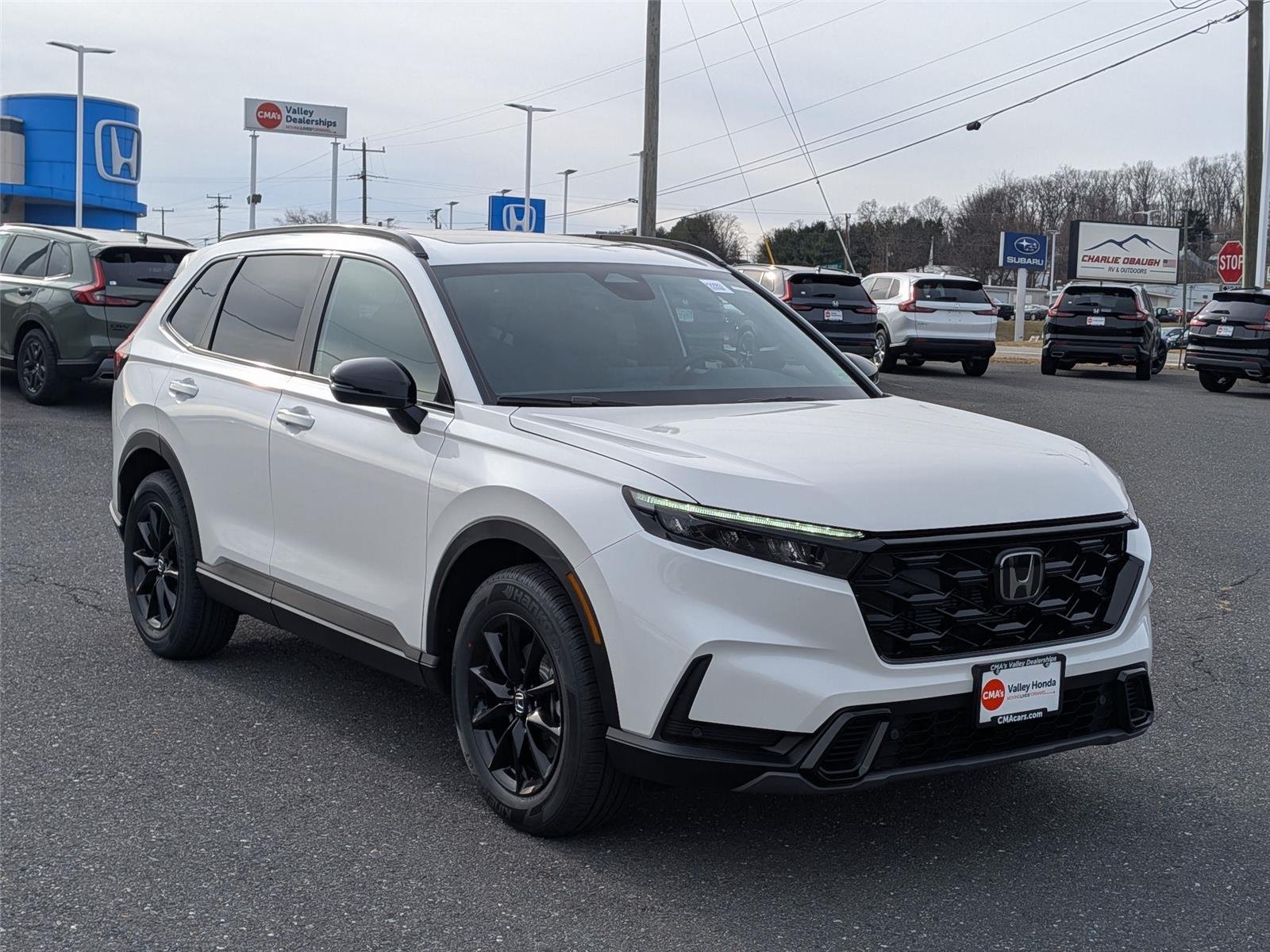 New 2026 Platinum White Pearl Honda Sport-L image 3
