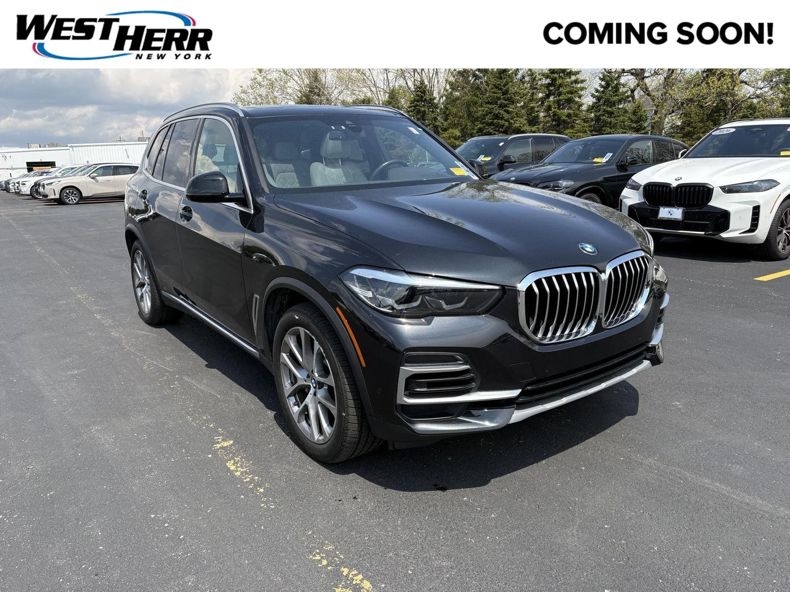 2023 BMW X5 xDrive40i's photo