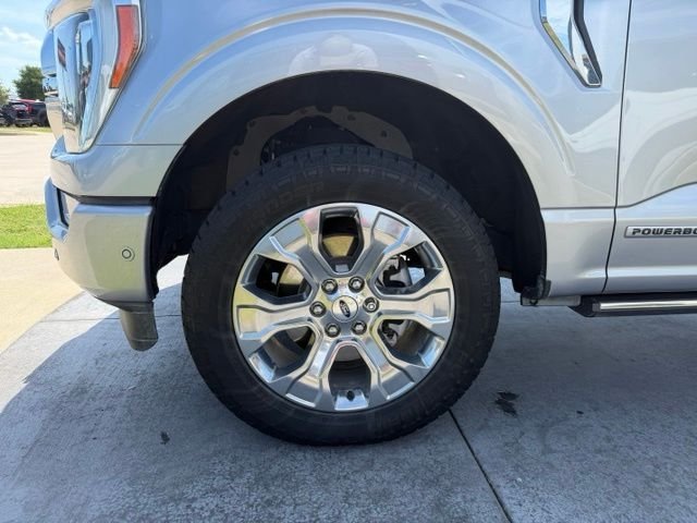 Used 2022 Silver Ford Platinum image 4