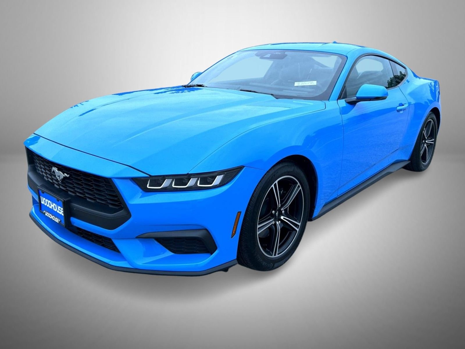 Used 2024 Blue Ford EcoBoost Premium image 1